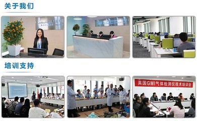 贺利氏钢水结晶定碳仪ELab-TC 铸钢溶液的精准在线定碳解决方案