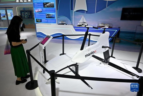 国产科技产品亮相消博会，北京软件技术服务展创新实力