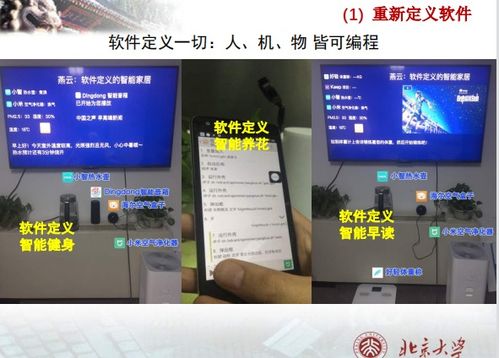 北京大学软件工程课程解析 从软件开发到技术服务框架